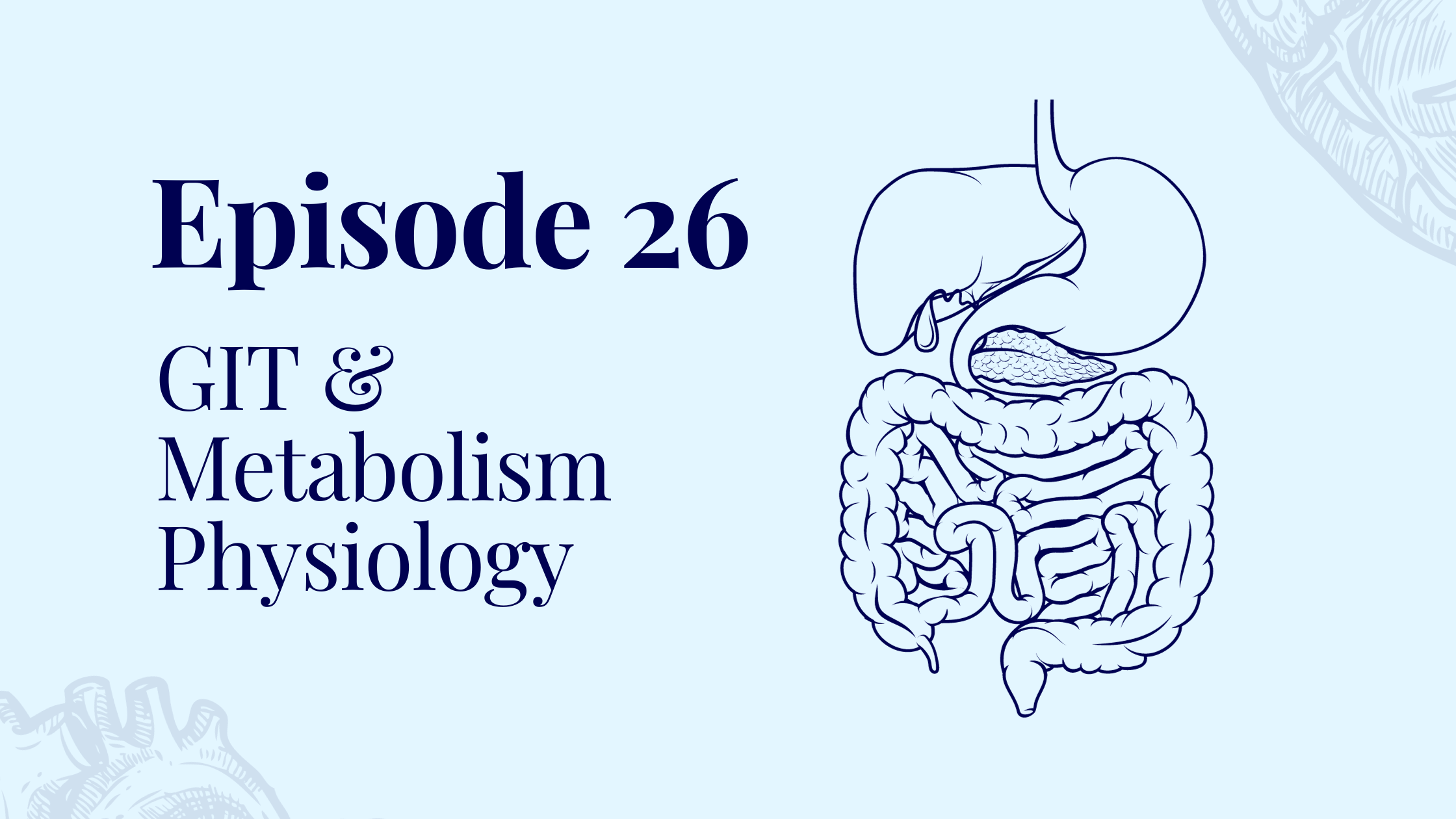 Episode 26 – GIT & Metabolism Physiology with Dr Lou Gabauer