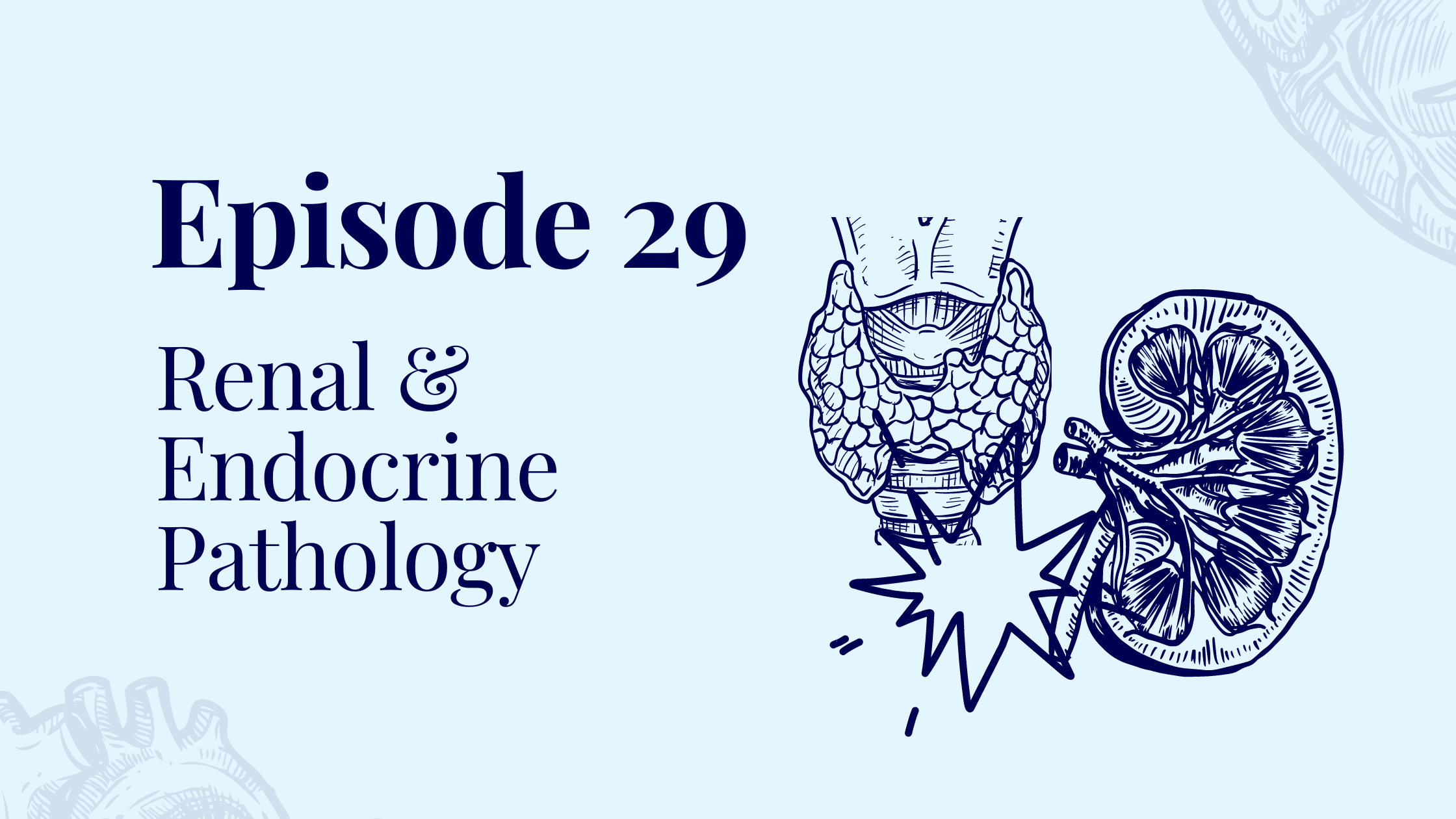 Episode 29 – Renal & Endocrine Pathology with Dr. Jacqui Downey